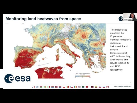 Visualising Forests in a Changing Climate: Insights from ESA CCI Data