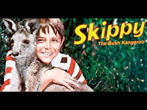Skippy the Bush Kangaroo - An Australian Icon