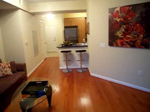 Clarendon 1021 Unit 444 1 Bdr For Sale in Arlington Virginia