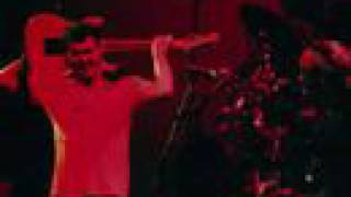 BIG COUNTRY BELLA TAKE TWO