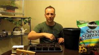 preview picture of video 'TheXGrasshopper's Second Planting and Tips on Starting Seeds with Soil Cubes'
