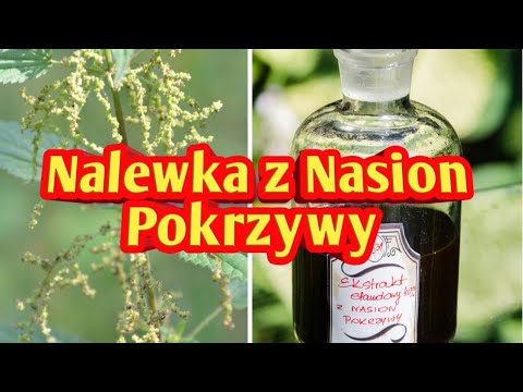 Dubrownik zwiększona siła Priporaty impotencja