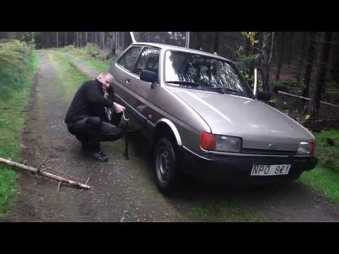 Haveri i svampskogen