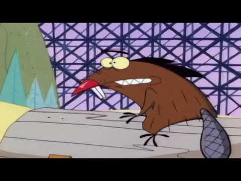 That was nuts! Csupo