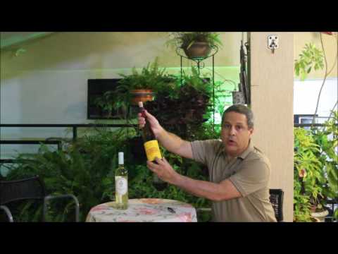 download lagu mp3 mp4 Vinho Verde E Branco Diferenca, download lagu Vinho Verde E Branco Diferenca gratis, unduh video klip Vinho Verde E Branco Diferenca