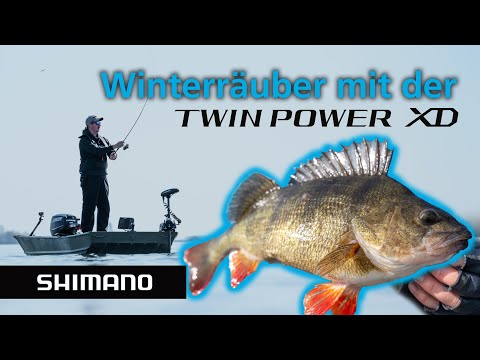 Barsch & Zander im Frühjahr: Fängige Strategien bei kaltem Wasser