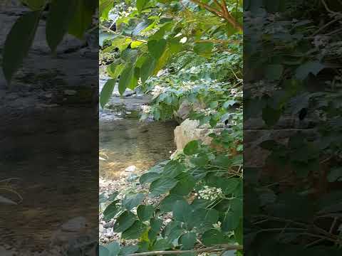 #호접몽~나비의꿈