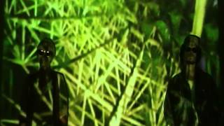 the SUNFLOWERS - UFO, Please Take Me Home