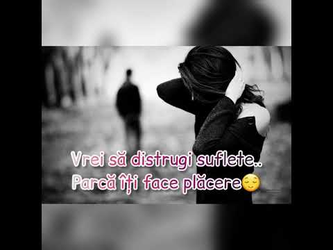 Zenys hai rămâi cu bine