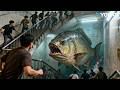 Piranha Panic The Feeding Chaos Has Started Sharp Teeth YOUKU MONSTER MOVIE