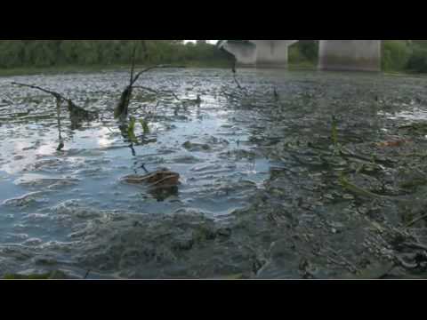 Huck Finn Quote #11 | jschafer15's Blog