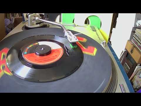 Convention '72 ~ The Delegates ~ 1972 ~ Styrene