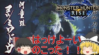 【MHR】ぼっちハンターがいくモンハンライズ！【ゆっくり実況】part8