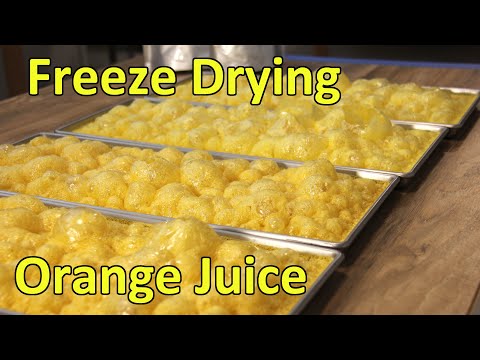 download lagu mp3 mp4 Freeze Dried Lemon Juice, download lagu Freeze Dried Lemon Juice gratis, unduh video klip Freeze Dried Lemon Juice