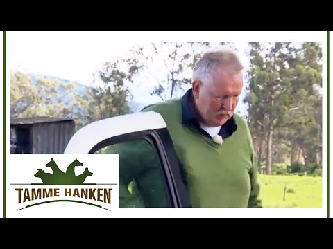 Tamme has to abort! He's not feeling well and is suffering from altitude sickness | Tamme Hanken ...