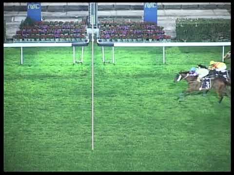 2019-03-15 Race 1(0182) - THE MUNICH (DIV.2)