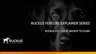 RUCKUS ICX–LOCAL BACKUP TO FLASH