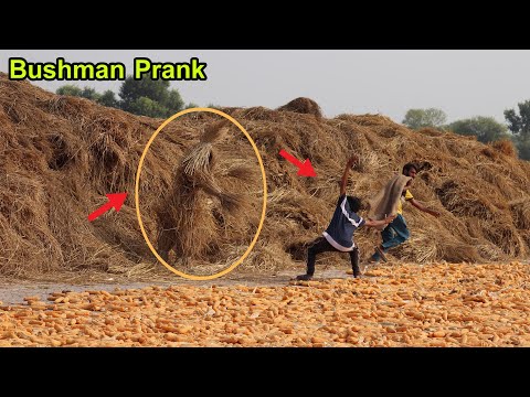 BEST OF Fails BUSHMAN Prank Compilation 2022 | Fainted Reaction Real Funniest Video 😃😅