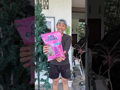 kasih makan kucing jadi pocong kucing