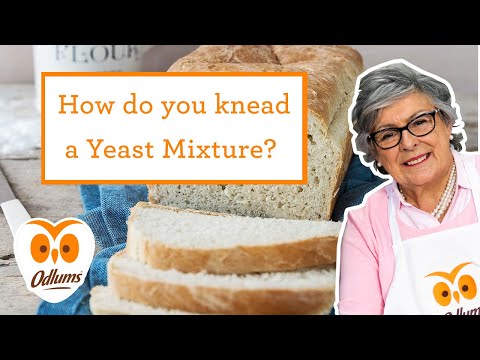 Baking Tips - How to Knead a Yeast Mixture | Odlums