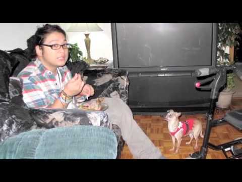 nigHTHowl :: Ocean VVaves