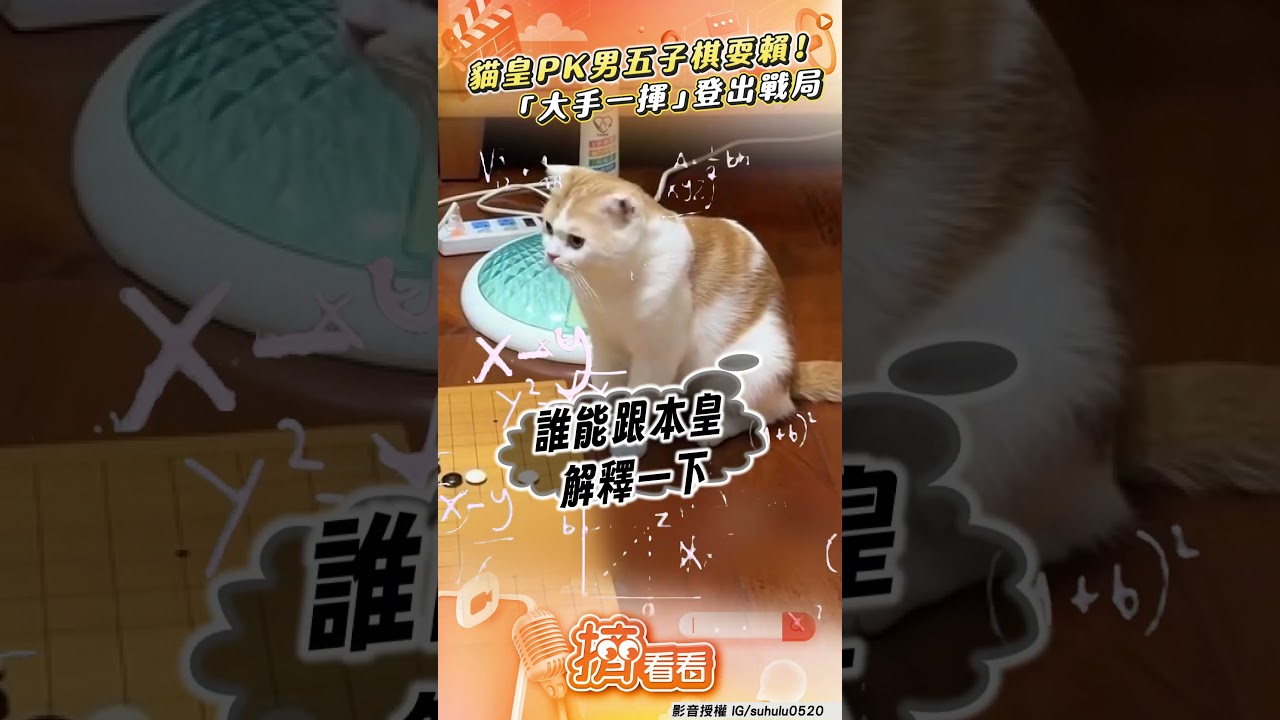 影音/貓皇PK人類五子棋竟耍賴! 關鍵點「大手一揮」登出戰局