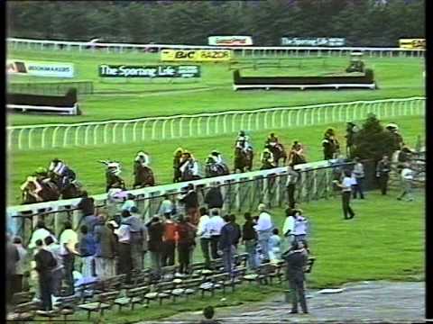 1987 Jack Barclay Chertsey Lock Graduation Stakes