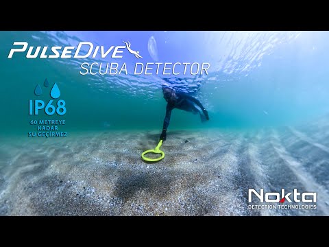 Nokta PulseDive Scuba Dedektör 1
