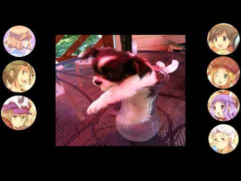 [HM:ToTC] Happy Birthday Pochi!