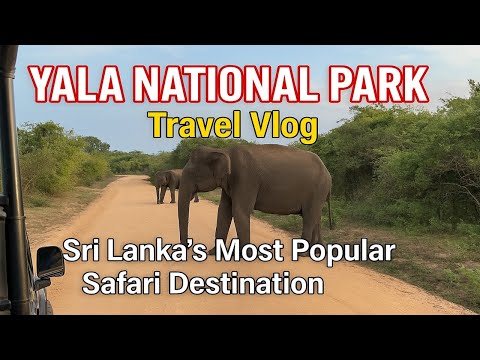 Yala National Park Travel Vlog | Sri Lanka's Most Popular Safari Destination