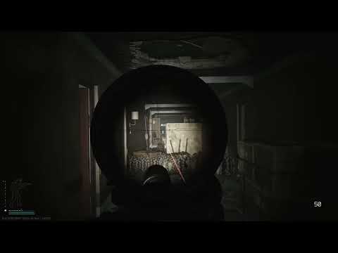 Why We Like Shoreline For PvP In Tarkov