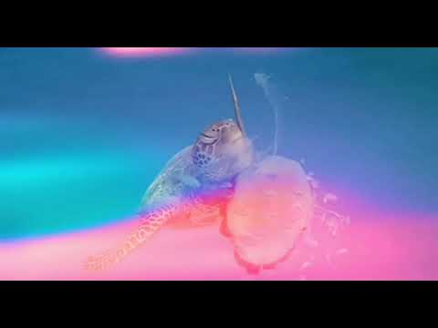 Solomun feat. Jamie Foxx - Ocean