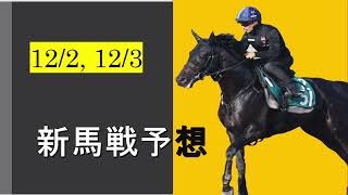 【新馬戦予想】ハーツクライ産駒の注目馬登場！！Kingman産駒キングズブレスは新馬勝ちを決められるか！？