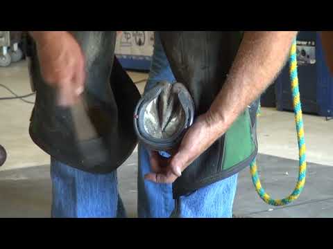 Slide 3 - Triumph Steel Motion EU 3 Hind 22x8 2/Clip  (video)