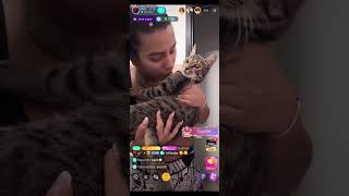 Download lagu BIGO LIVE - livesteam with your cute cat mp3