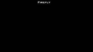 Breaking Benjamin-Firefly