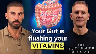 Why You Aren't Absorbing Your Supplements - Chervin Jafarieh | TUH 310