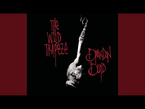 A Night Without Cars - Brandon Boyd