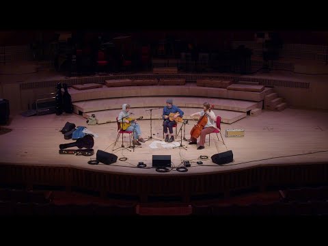 Bill Ryder-Jones & Gruff Rhys - How Beautiful I Am (Live from Liverpool Philharmonic Hall)