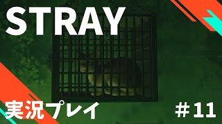 【Stray】へっぽこ迷い猫オーバーラン！　#11