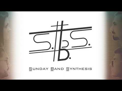 The Weeknd - Blinding Lights  (Cover by S.B.S.)