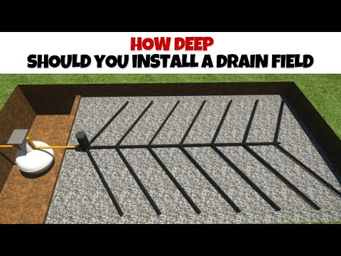 image-What do you put over a leach field?