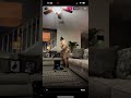 Miss Raindrop Instagram Live 3 2 24