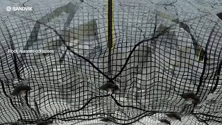 Yield-Lok® Bolt – Seismic-resistant anchoring with controlled energy absorption