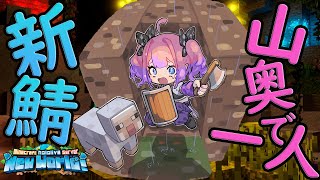 綺々羅々ヴィヴィ - 【Minecraft】クリーパートラップ作ってみたい！【#綺々羅々ヴィヴィ #hololiveDEV IS #FLOWGLOW】