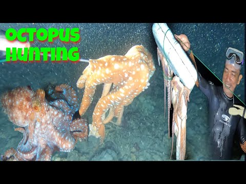 vlog411-  Pangingilaw ng Pugita Part 1