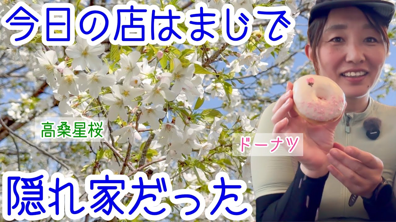 地元民しか知らない？隠れ家スポット！最後の桜と隠れ家カフェへ。ロードバイク女子ゆみやみのゆるぽたサイクリング！