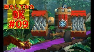 ドンキーコングトロピカルフリーズの世界を照らしてみた#09
