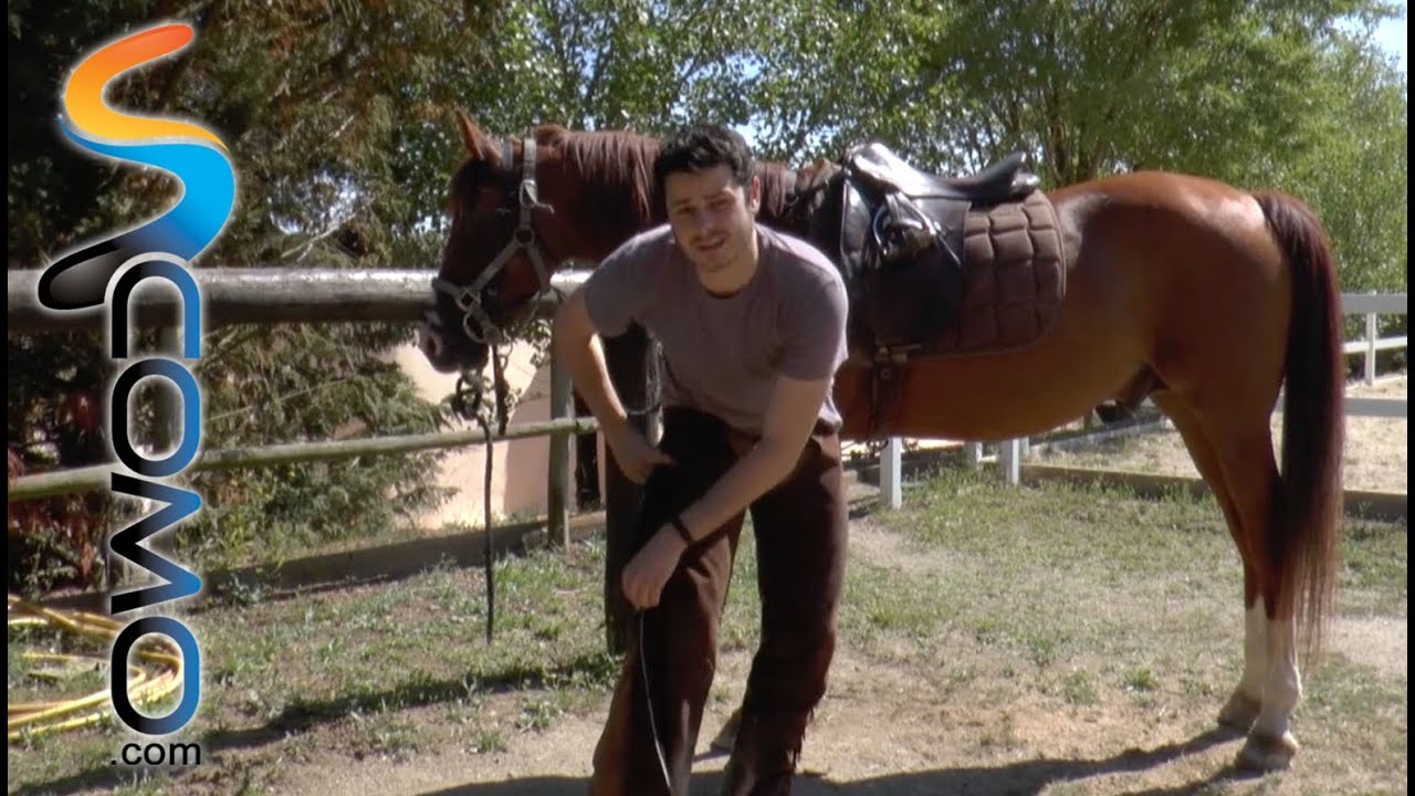 Poner los chaps de hípica