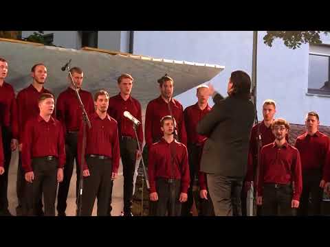 PAZ Vinko Vodopivec - Nocoj pa, oh nocoj